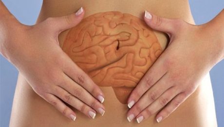 Tu cerebro principal no está en tu cabeza, sino en tus intestinos. 